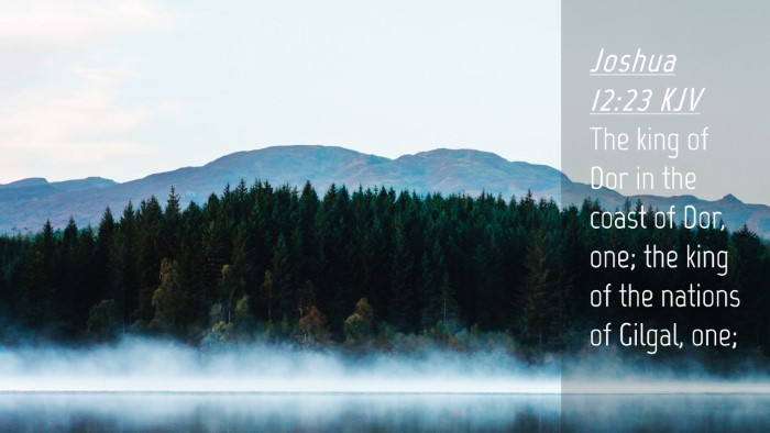 Picture 04 - Joshua 12:23 KJV Desktop Wallpaper - The king of Dor in the coast of Dor, one; the - Desktop Bible Verse Wallpaper