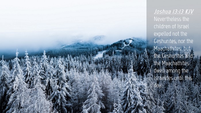 Picture 04 - Joshua 13:13 KJV Desktop Wallpaper - Nevertheless the children of Israel expelled not - Desktop Bible Verse Wallpaper