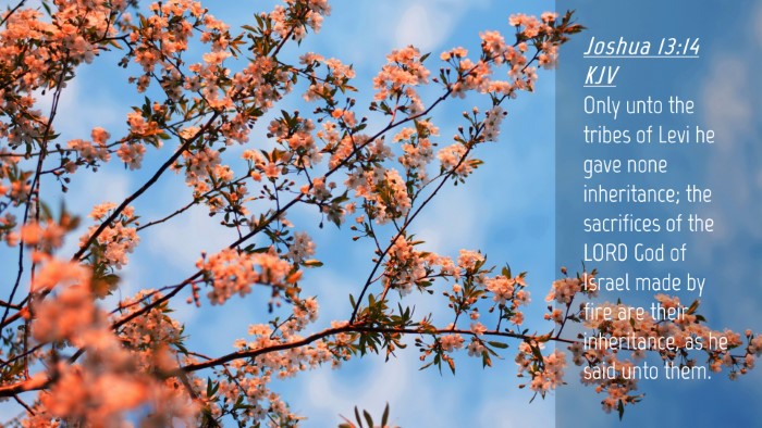 Picture 04 - Joshua 13:14 KJV Desktop Wallpaper - Only unto the tribes of Levi he gave none - Desktop Bible Verse Wallpaper