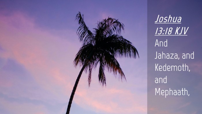 Picture 04 - Joshua 13:18 KJV Desktop Wallpaper - And Jahaza, and Kedemoth, and - Desktop Bible Verse Wallpaper