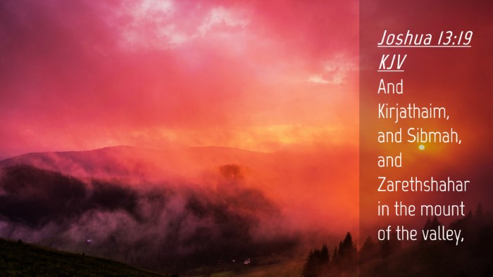 Picture 04 - Joshua 13:19 KJV Desktop Wallpaper - And Kirjathaim, and Sibmah, and Zarethshahar in - Desktop Bible Verse Wallpaper