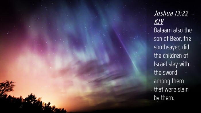 Picture 04 - Joshua 13:22 KJV Desktop Wallpaper - Balaam also the son of Beor, the soothsayer, did - Desktop Bible Verse Wallpaper
