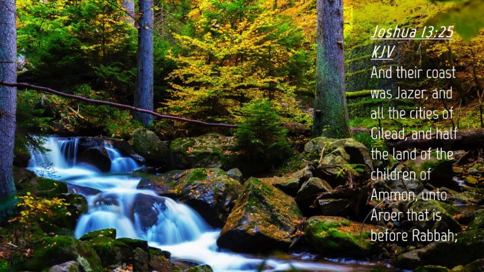Picture 04 - Joshua 13:25 KJV Desktop Wallpaper - And their coast was Jazer, and all the cities of - Desktop Bible Verse Wallpaper