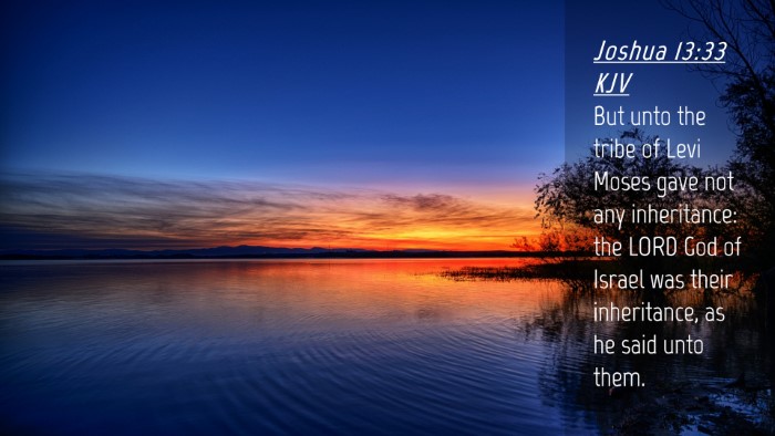Picture 04 - Joshua 13:33 KJV Desktop Wallpaper - But unto the tribe of Levi Moses gave not any - Desktop Bible Verse Wallpaper