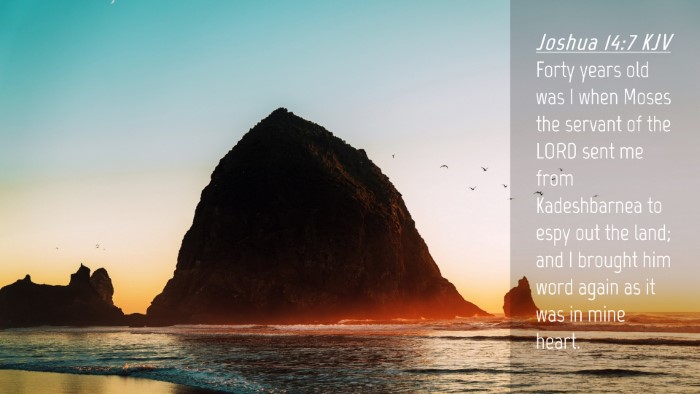 Picture 04 - Joshua 14:7 KJV Desktop Wallpaper - Forty years old was I when Moses the servant of - Desktop Bible Verse Wallpaper