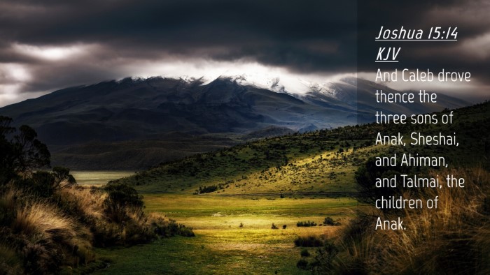 Picture 04 - Joshua 15:14 KJV Desktop Wallpaper - And Caleb drove thence the three sons of Anak, - Desktop Bible Verse Wallpaper