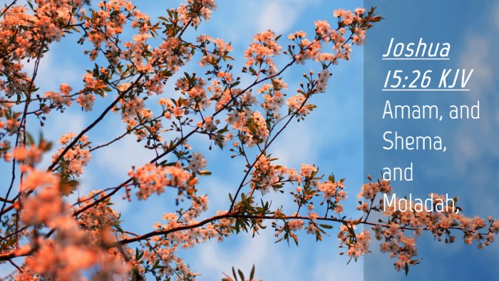 Picture 04 - Joshua 15:26 KJV Desktop Wallpaper - Amam, and Shema, and - Desktop Bible Verse Wallpaper