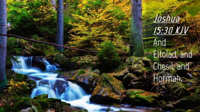 Picture 04 - Joshua 15:30 KJV Desktop Wallpaper - And Eltolad, and Chesil, and - Desktop Bible Verse Wallpaper