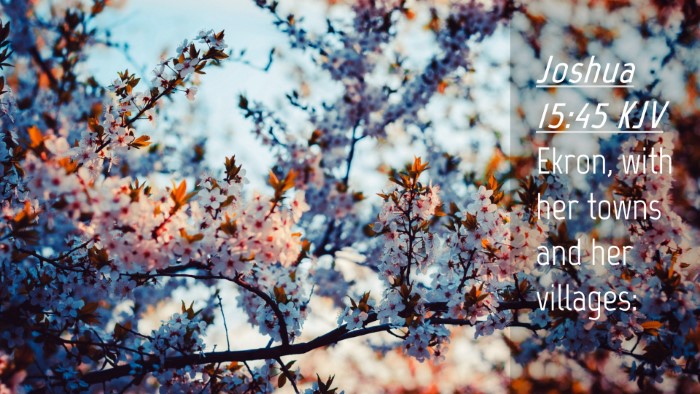 Picture 04 - Joshua 15:45 KJV Desktop Wallpaper - Ekron, with her towns and her - Desktop Bible Verse Wallpaper