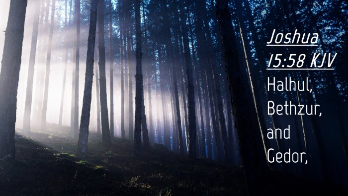 Picture 04 - Joshua 15:58 KJV Desktop Wallpaper - Halhul, Bethzur, and - Desktop Bible Verse Wallpaper