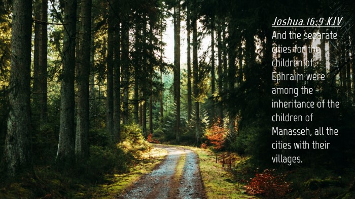 Picture 04 - Joshua 16:9 KJV Desktop Wallpaper - And the separate cities for the children of - Desktop Bible Verse Wallpaper