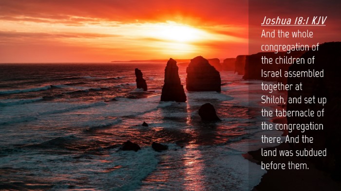 Picture 04 - Joshua 18:1 KJV Desktop Wallpaper - And the whole congregation of the children of - Desktop Bible Verse Wallpaper