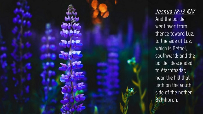 Picture 04 - Joshua 18:13 KJV Desktop Wallpaper - And the border went over from thence toward Luz, - Desktop Bible Verse Wallpaper