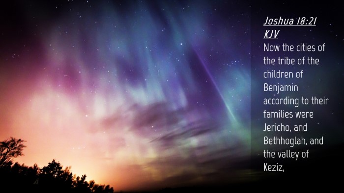 Picture 04 - Joshua 18:21 KJV Desktop Wallpaper - Now the cities of the tribe of the children of - Desktop Bible Verse Wallpaper