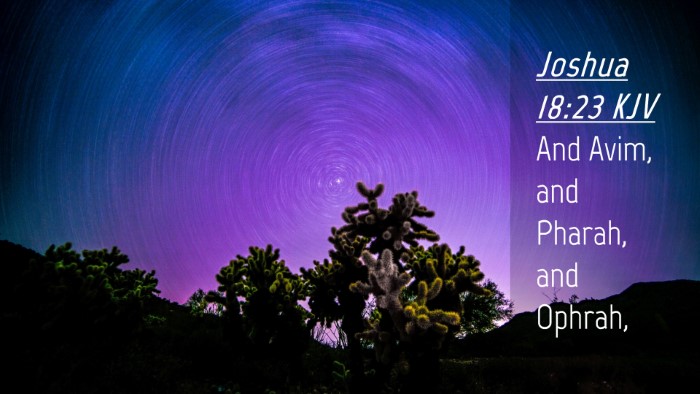 Picture 04 - Joshua 18:23 KJV Desktop Wallpaper - And Avim, and Pharah, and - Desktop Bible Verse Wallpaper