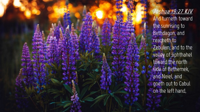 Picture 04 - Joshua 19:27 KJV Desktop Wallpaper - And turneth toward the sunrising to Bethdagon, - Desktop Bible Verse Wallpaper