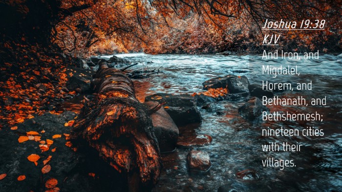 Picture 04 - Joshua 19:38 KJV Desktop Wallpaper - And Iron, and Migdalel, Horem, and Bethanath, and - Desktop Bible Verse Wallpaper