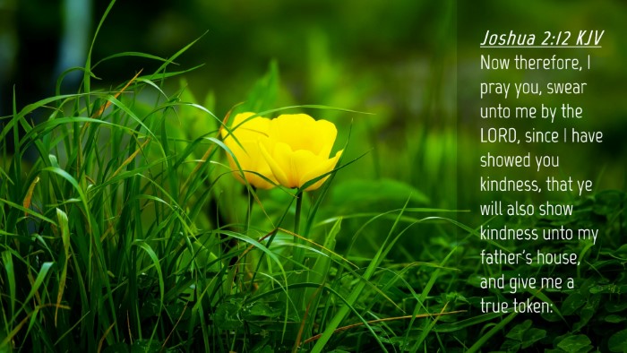 Picture 04 - Joshua 2:12 KJV Desktop Wallpaper - Now therefore, I pray you, swear unto me by the - Desktop Bible Verse Wallpaper