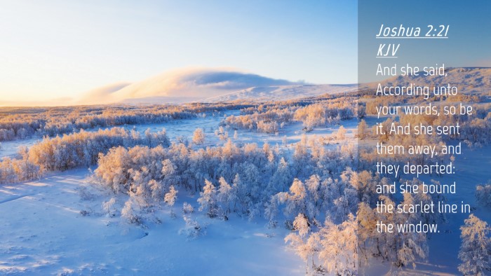 Picture 04 - Joshua 2:21 KJV Desktop Wallpaper - And she said, According unto your words, so be - Desktop Bible Verse Wallpaper