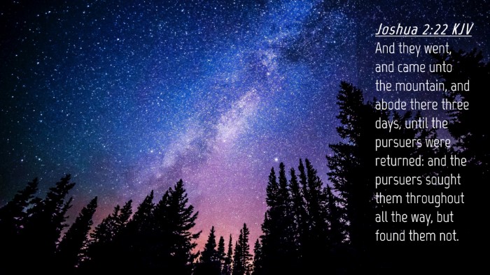 Picture 04 - Joshua 2:22 KJV Desktop Wallpaper - And they went, and came unto the mountain, and - Desktop Bible Verse Wallpaper
