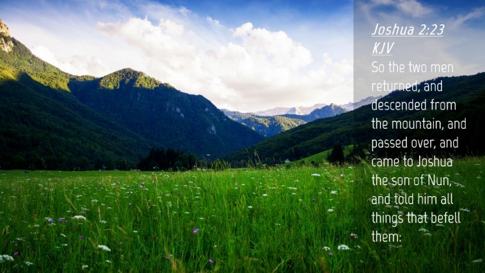 Picture 04 - Joshua 2:23 KJV Desktop Wallpaper - So the two men returned, and descended from the - Desktop Bible Verse Wallpaper