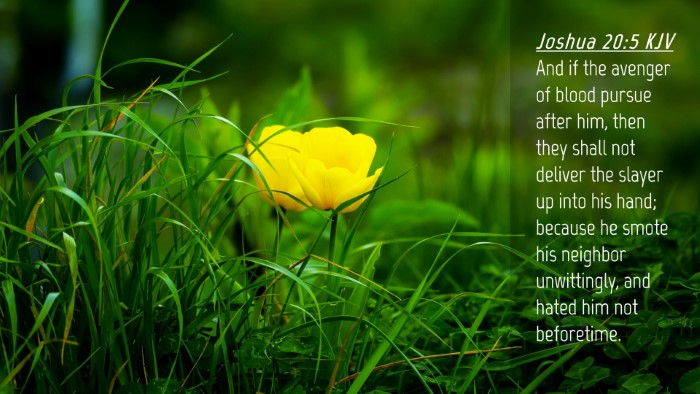 Picture 04 - Joshua 20:5 KJV Desktop Wallpaper - And if the avenger of blood pursue after him, - Desktop Bible Verse Wallpaper
