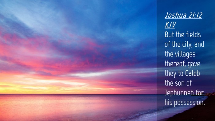 Picture 04 - Joshua 21:12 KJV Desktop Wallpaper - But the fields of the city, and the villages - Desktop Bible Verse Wallpaper
