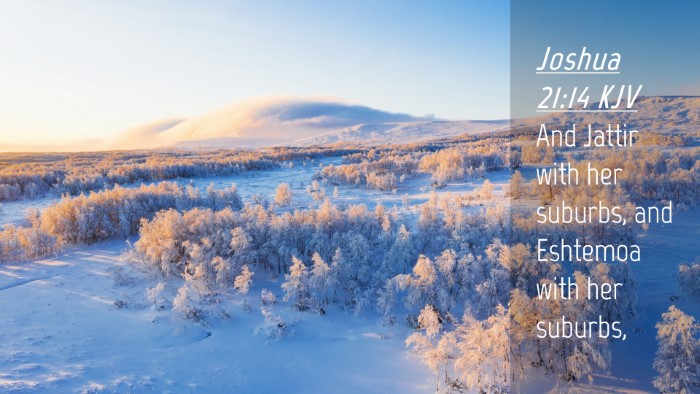 Picture 04 - Joshua 21:14 KJV Desktop Wallpaper - And Jattir with her suburbs, and Eshtemoa with - Desktop Bible Verse Wallpaper
