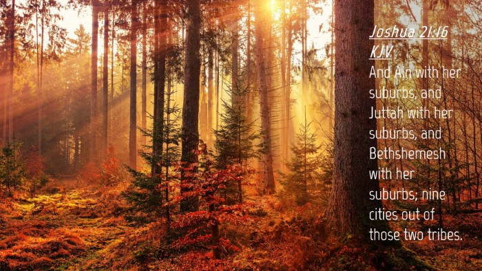 Picture 04 - Joshua 21:16 KJV Desktop Wallpaper - And Ain with her suburbs, and Juttah with her - Desktop Bible Verse Wallpaper