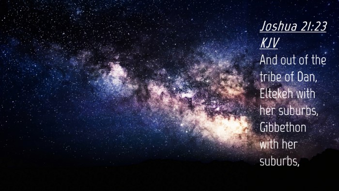 Picture 04 - Joshua 21:23 KJV Desktop Wallpaper - And out of the tribe of Dan, Eltekeh with her - Desktop Bible Verse Wallpaper