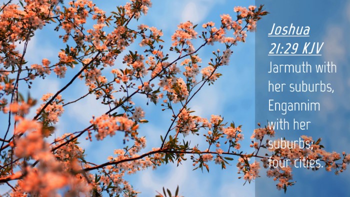 Picture 04 - Joshua 21:29 KJV Desktop Wallpaper - Jarmuth with her suburbs, Engannim with her - Desktop Bible Verse Wallpaper