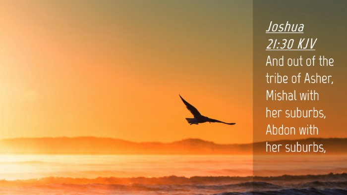 Picture 04 - Joshua 21:30 KJV Desktop Wallpaper - And out of the tribe of Asher, Mishal with her - Desktop Bible Verse Wallpaper