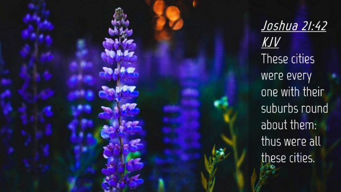 Picture 04 - Joshua 21:42 KJV Desktop Wallpaper - These cities were every one with their suburbs - Desktop Bible Verse Wallpaper
