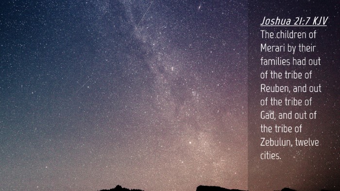Picture 04 - Joshua 21:7 KJV Desktop Wallpaper - The children of Merari by their families had out - Desktop Bible Verse Wallpaper