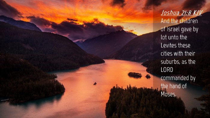 Picture 04 - Joshua 21:8 KJV Desktop Wallpaper - And the children of Israel gave by lot unto the - Desktop Bible Verse Wallpaper
