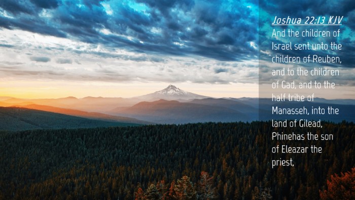 Picture 04 - Joshua 22:13 KJV Desktop Wallpaper - And the children of Israel sent unto the children - Desktop Bible Verse Wallpaper