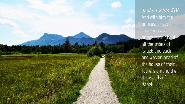 Picture 04 - Joshua 22:14 KJV Desktop Wallpaper - And with him ten princes, of each chief house a - Desktop Bible Verse Wallpaper