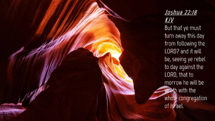 Picture 04 - Joshua 22:18 KJV Desktop Wallpaper - But that ye must turn away this day from - Desktop Bible Verse Wallpaper