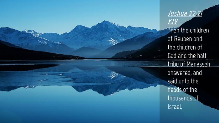 Picture 04 - Joshua 22:21 KJV Desktop Wallpaper - Then the children of Reuben and the children of - Desktop Bible Verse Wallpaper