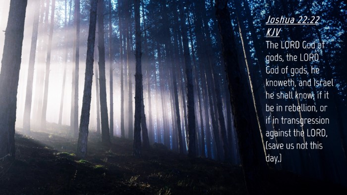 Picture 04 - Joshua 22:22 KJV Desktop Wallpaper - The LORD God of gods, the LORD God of gods, he - Desktop Bible Verse Wallpaper
