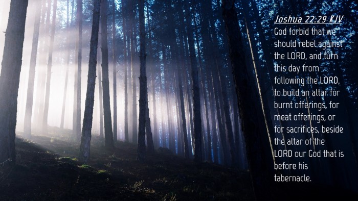 Picture 04 - Joshua 22:29 KJV Desktop Wallpaper - God forbid that we should rebel against the LORD, - Desktop Bible Verse Wallpaper