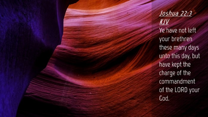 Picture 04 - Joshua 22:3 KJV Desktop Wallpaper - Ye have not left your brethren these many days - Desktop Bible Verse Wallpaper