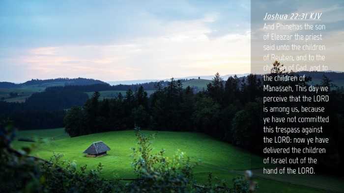 Picture 04 - Joshua 22:31 KJV Desktop Wallpaper - And Phinehas the son of Eleazar the priest said - Desktop Bible Verse Wallpaper