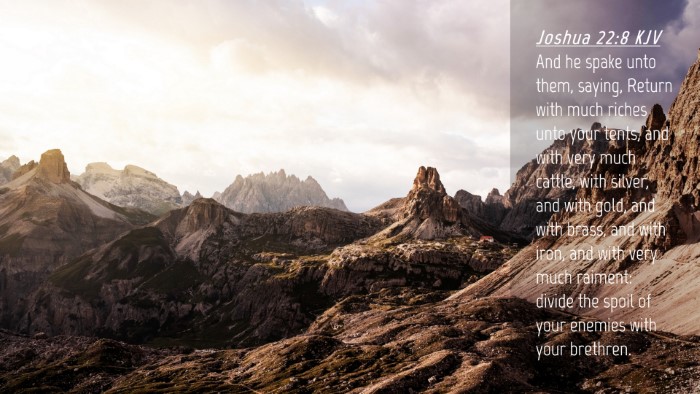 Picture 04 - Joshua 22:8 KJV Desktop Wallpaper - And he spake unto them, saying, Return with much - Desktop Bible Verse Wallpaper