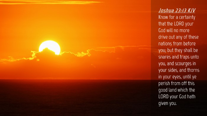 Picture 04 - Joshua 23:13 KJV Desktop Wallpaper - Know for a certainty that the LORD your God will - Desktop Bible Verse Wallpaper