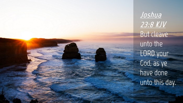 Picture 04 - Joshua 23:8 KJV Desktop Wallpaper - But cleave unto the LORD your God, as ye have - Desktop Bible Verse Wallpaper