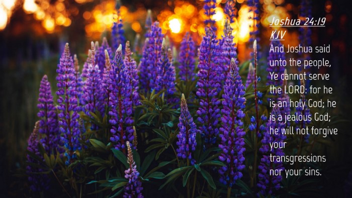 Picture 04 - Joshua 24:19 KJV Desktop Wallpaper - And Joshua said unto the people, Ye cannot serve - Desktop Bible Verse Wallpaper