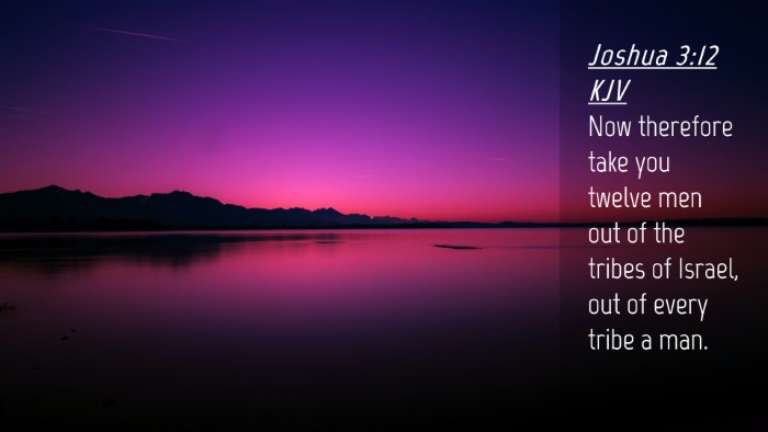 Picture 04 - Joshua 3:12 KJV Desktop Wallpaper - Now therefore take you twelve men out of the - Desktop Bible Verse Wallpaper