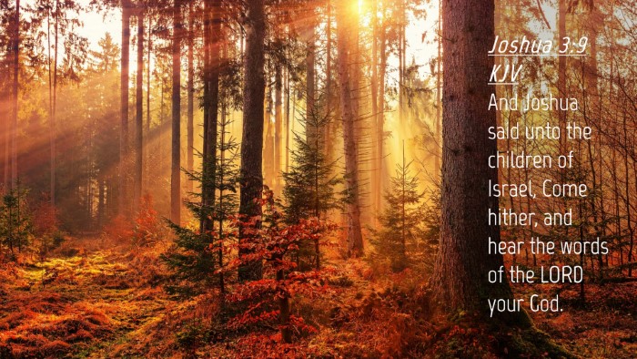 Picture 04 - Joshua 3:9 KJV Desktop Wallpaper - And Joshua said unto the children of Israel, Come - Desktop Bible Verse Wallpaper