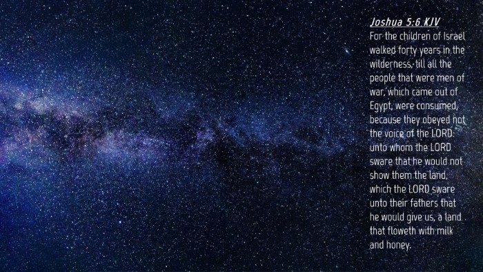 Picture 04 - Joshua 5:6 KJV Desktop Wallpaper - For the children of Israel walked forty years in - Desktop Bible Verse Wallpaper
